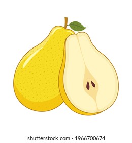 Pear Fruit Vector Illustrations Isolated