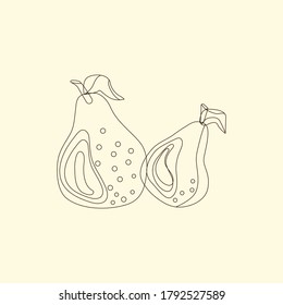 pear fruit vector one line art isolated illustration