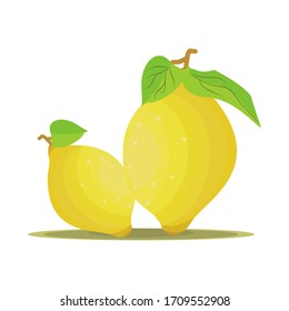 pear fruit with a white background, vector