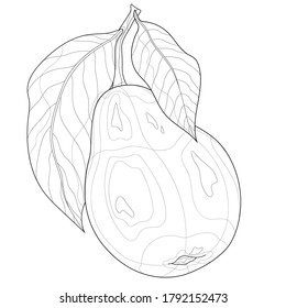 
Pear fruit.Coloring book antistress for children and adults. Illustration isolated on white background.Black and white drawing.Zen-tangle style.