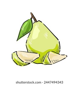 pear fruits cartoon drawing vector	