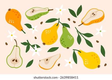 Pear fruits. Fresh summer food, ripe organic yellow green fruit with leaf, natural garden harvest, healthy vegetarian diet product, abstract pear slice with seed. Vector cartoon set.