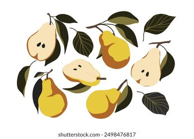 Pear fruits in Hand-drawn style set. Pear drawing of food elements for design menu, poster, label, packaging, wall art, icons vector illustration