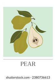 Pear fruits poster. Organic Healthy Food. Hand-drawn design for cards, posters, wall art, print, packaging design, covers, and banners. Modern simple vector flat illustration.