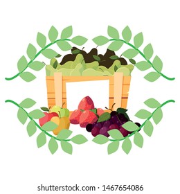 pear grape apple fresh fruit emblem organic