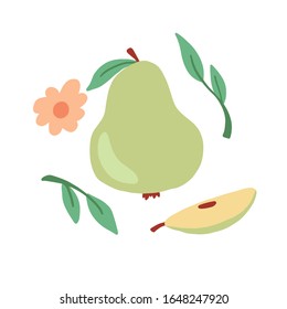 Pear of green color with leaf and flowers.. Cartoon hand drawn style. Isolated pear for fresh fruit, organic food, natural eat concept design. Vector illustration.