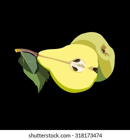 pear green vector leaf healthy fruits