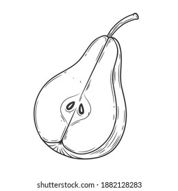 Pear half engraved vintage illustration isolated on white background. Organic food hand drawn sketch . Black outline. 