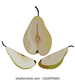 Pear half and quarter slices, vector illustration isolated on white background. Ripe and juicy pear, healthy diet fruit.