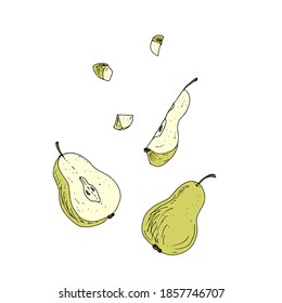 Pear, half pear, pear slice, pieces. Vector illustration.