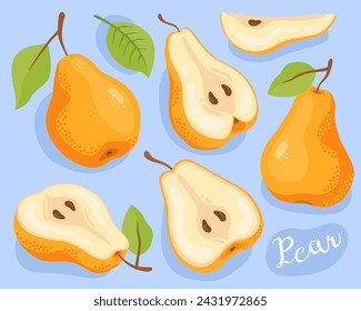 Pear. Half, slice and whole of yellow pear. Fresh, ripe fruit.
