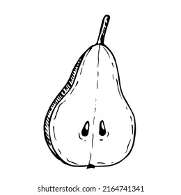 Pear half vector illustration, hand drawing sketch