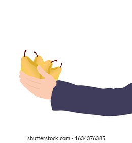 pear in hand colored illustration