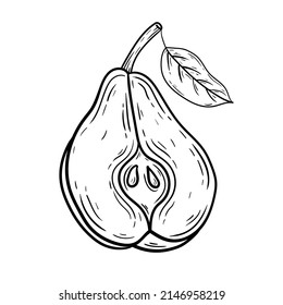 Pear, hand drawn, black lines, vector illustration isolated on white background.