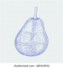 Pear. Hand drawn blue sketch on lined paper background. Vector illustration