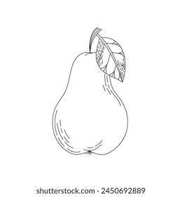 Dibujado a mano doodle boceto de una pera. Dibujo para colorear con un cítrico. Ilustración vectorial de arte en línea sobre un fondo blanco