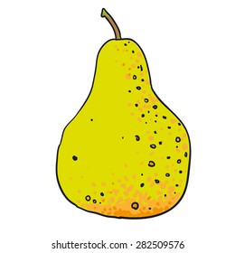 pear - hand drawn fruits isolated vector