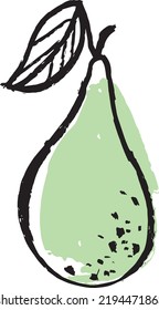 Pear hand drawn illustration vectore