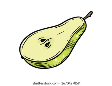 Pear. Hand drawn pears vector illustration isolated on white background.