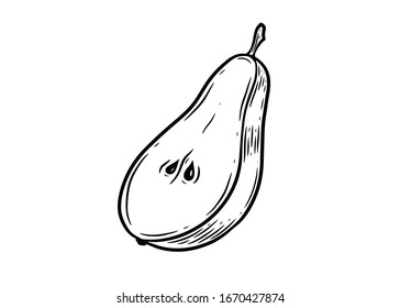 Pear. Hand drawn pears vector illustration isolated on white background.