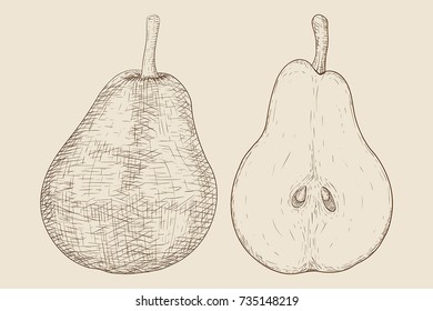 Pear. Hand drawn sketch on beige background. Vector illustration