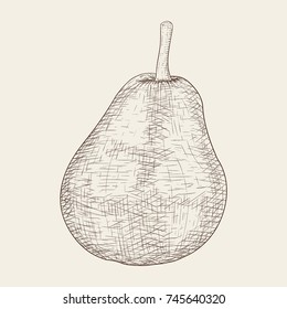Pear. Hand drawn sketch on beige background. Vector illustration
