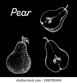 Pear hand drawn vector illustration. Pear slice sketch. Vector illustration. Black and white.