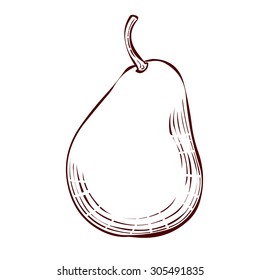 Pear. Hand drawn vector illustration. Isolated on white.