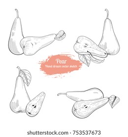 Pear hand drawn vector sketch collection. Food illustration.