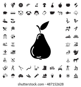 Pear icon illustration isolated vector sign symbol
