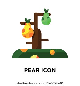 Pear icon vector isolated on white background, Pear transparent sign , colorful symbols