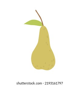 Pear illustration. Vector drawing of fruit for design