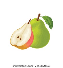 Pear. An image of a pear slice. Fresh garden fruit. A ripe pear. Vector illustration isolated on a white background