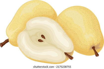 Pear. The image of a pear is yellow. Ripe sweet pear. Fresh garden fruit. Vitamin vegetarian product. Vector illustration isolated on a white background