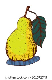  pear ink drawing color