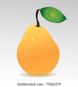pear isolated