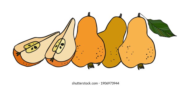 Pear. Isolated element for recipe, menu, kids bedroom decor. Hand drawn vector illustration on a white background. 