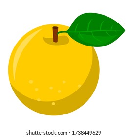 pear isolated on white background. Vector illustration.