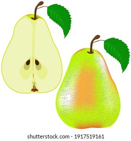 Pear isolated on white background. Clipart, vector.