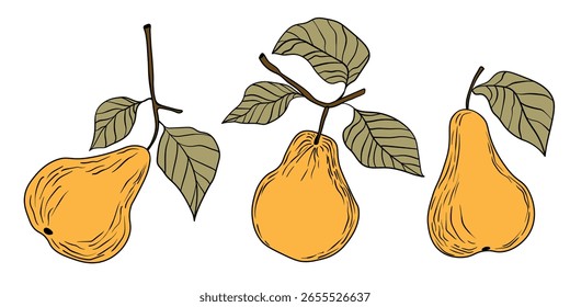 Pera aislada sobre fondo blanco. Natural deliciosa fruta madura sabrosa fresca. Peras dulces con hojas. Concepto de comida. Ilustración vectorial para el diseño.