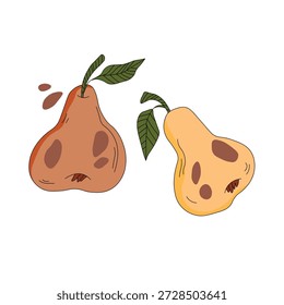 Pear isolated on white background. Natural delicious fresh ripe tasty fruit. Sweet pears with leaves. Food concept. Vector illustration for design.