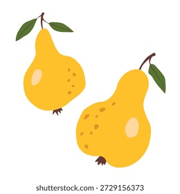 Pear isolated on white background. Natural delicious fresh ripe tasty fruit. Sweet pears with leaves. Food concept. Vector illustration for design.