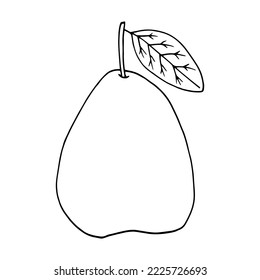 pear with leaf hand drawn in doodle style. 