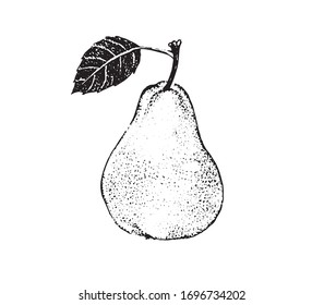 Pear with leaf. Vector graphics for labels, menus or packaging design.