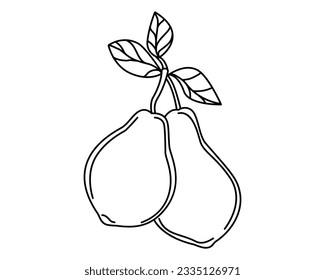 Pear. Linear, contour drawing. Used for web design, collages, coloring books, magazines for children. Vector. Product icon