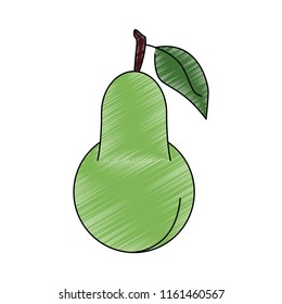 Pear natural fruit scribble