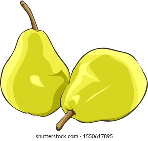 Pear nature fruit vector illustration