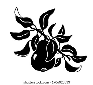 Pear on branch. Hand drawn silhouette clipart of garden fruit. Black simple illustration for packaging design. Botanic print, poster, element for eco product. Flat isolated vector, white background