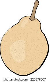 Pear on the white background