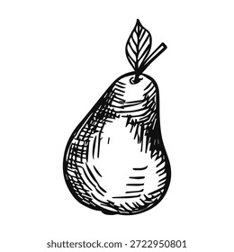 pear on a white background sketch